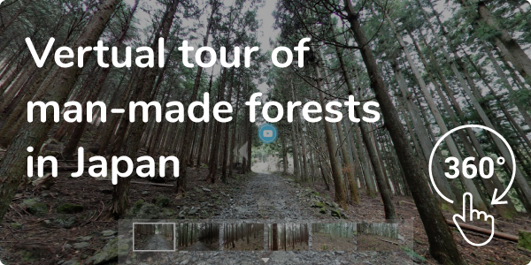 Vertual tour of man-made forests in Japan